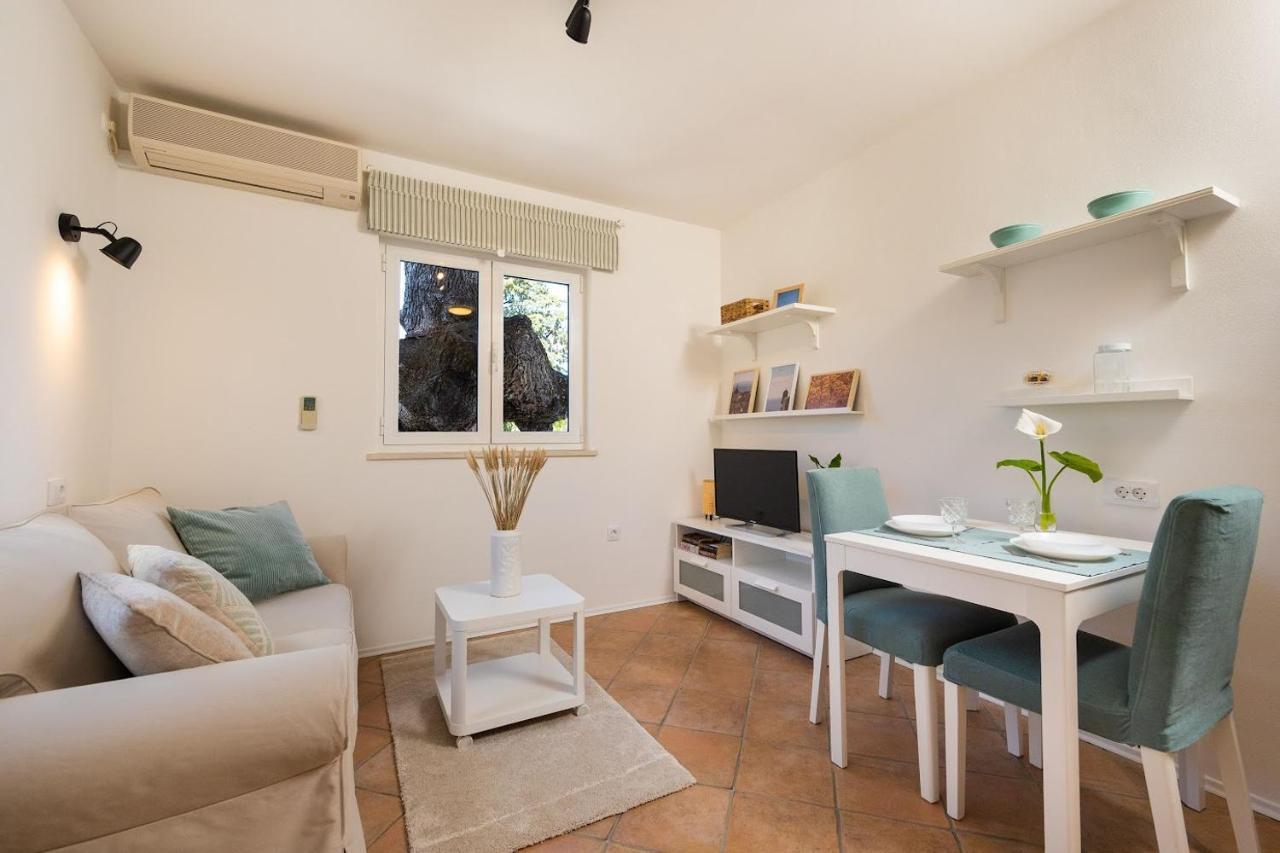 Apartment Judita *