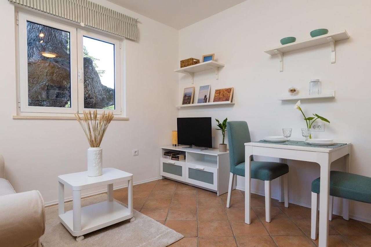 Apartment Judita
